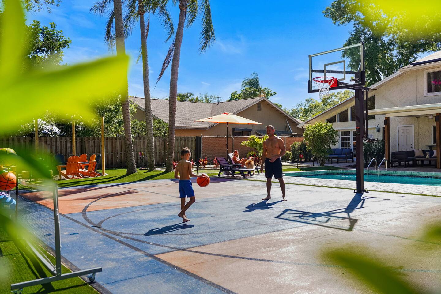 Basketball Court Collection
