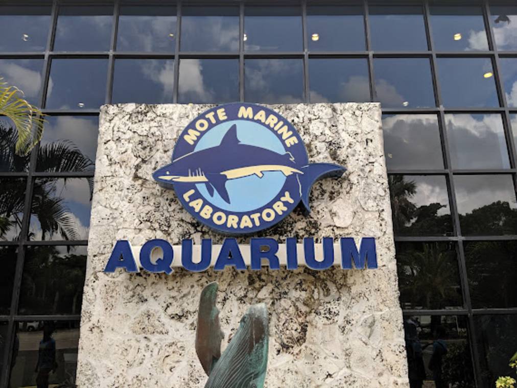 Mote Marine Laboratory aquarium exhibits for families