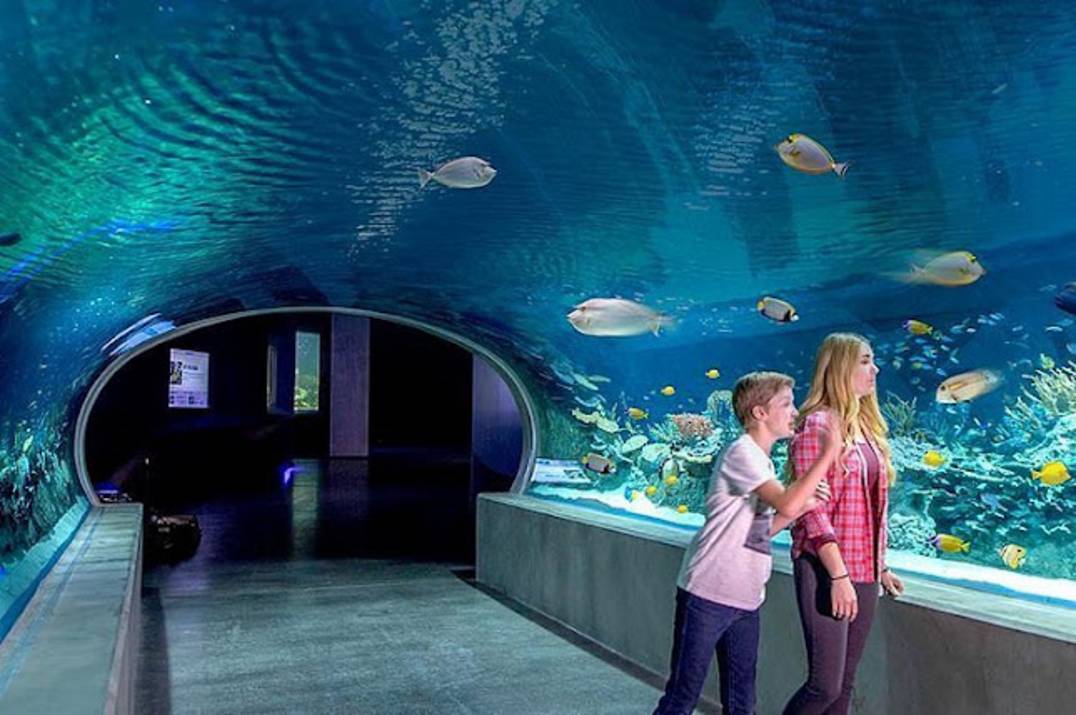 OdySea Aquarium interior in Scottsdale Arizona